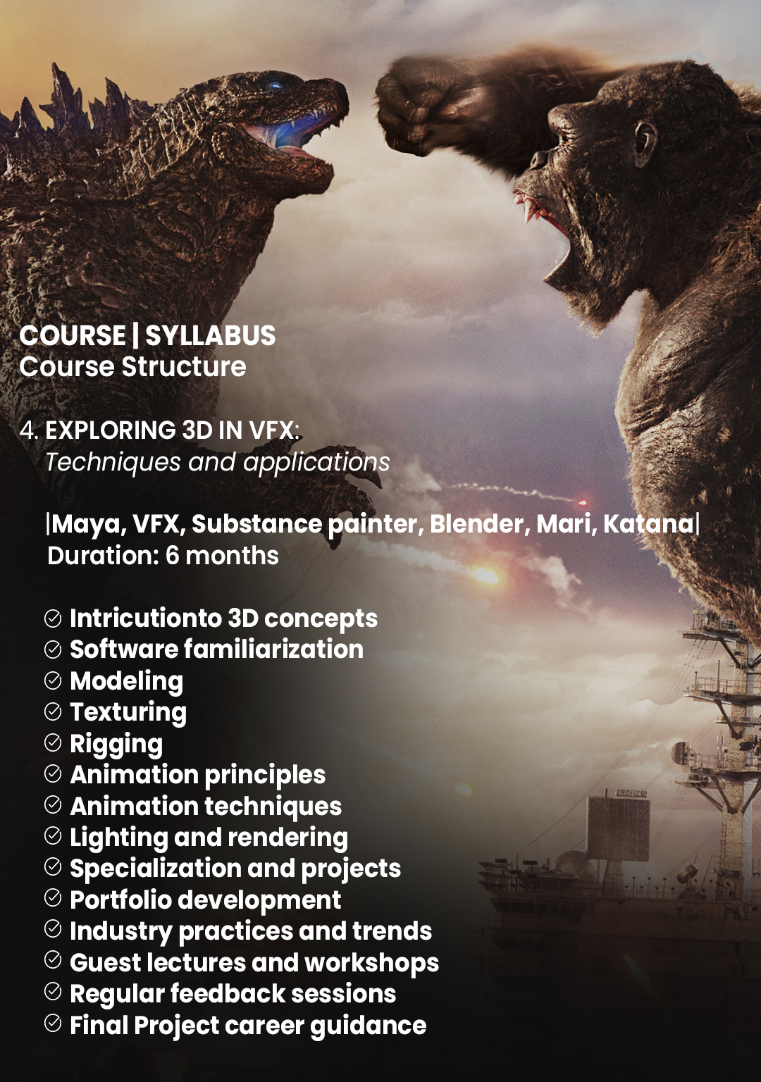 Multimedia Courses